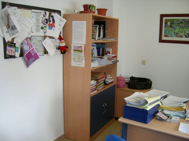 despachopsicolga (2)